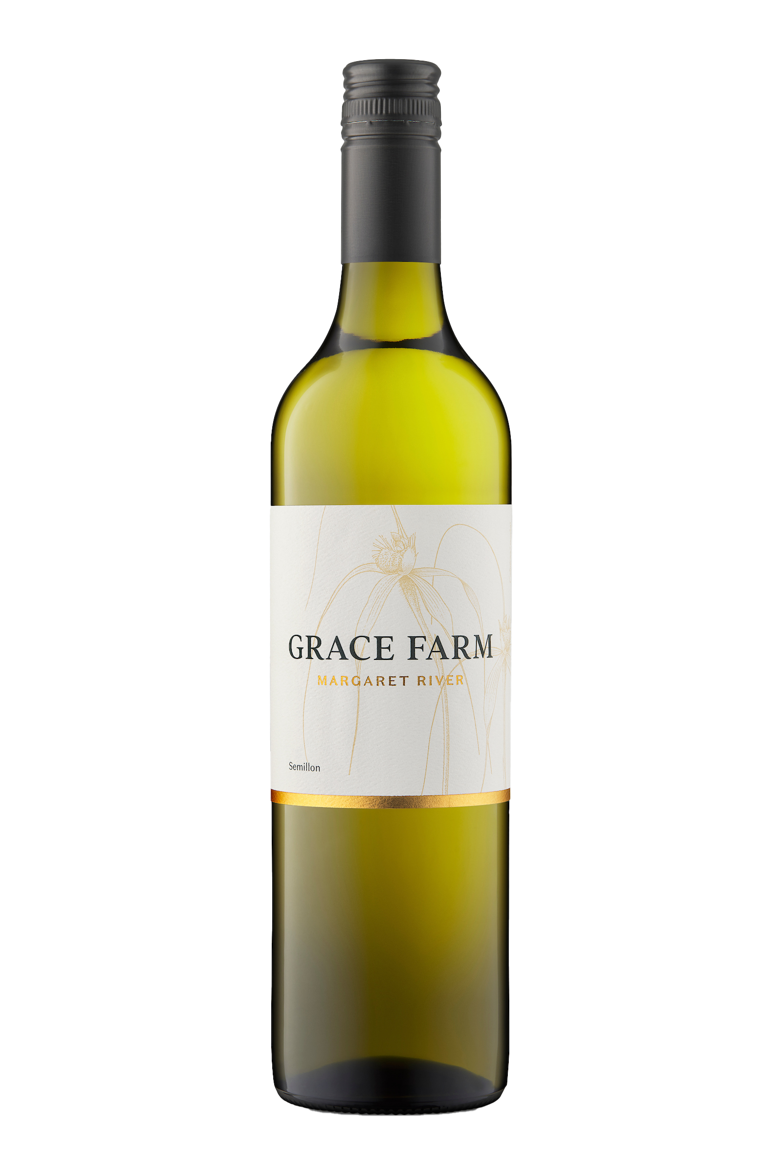 Grace Farm semillon 2024 Ray Jordan Wine